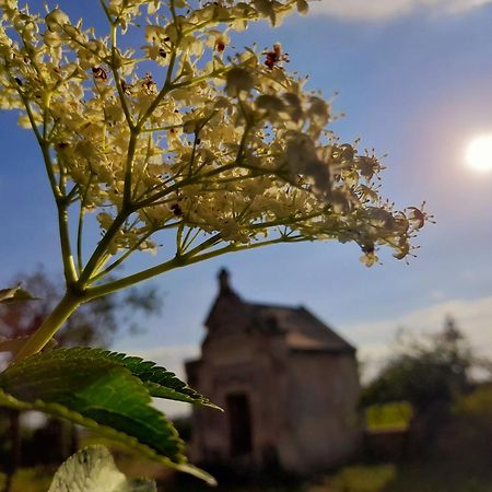 Bed and Breakfast La Galuche Angliers  Экстерьер фото