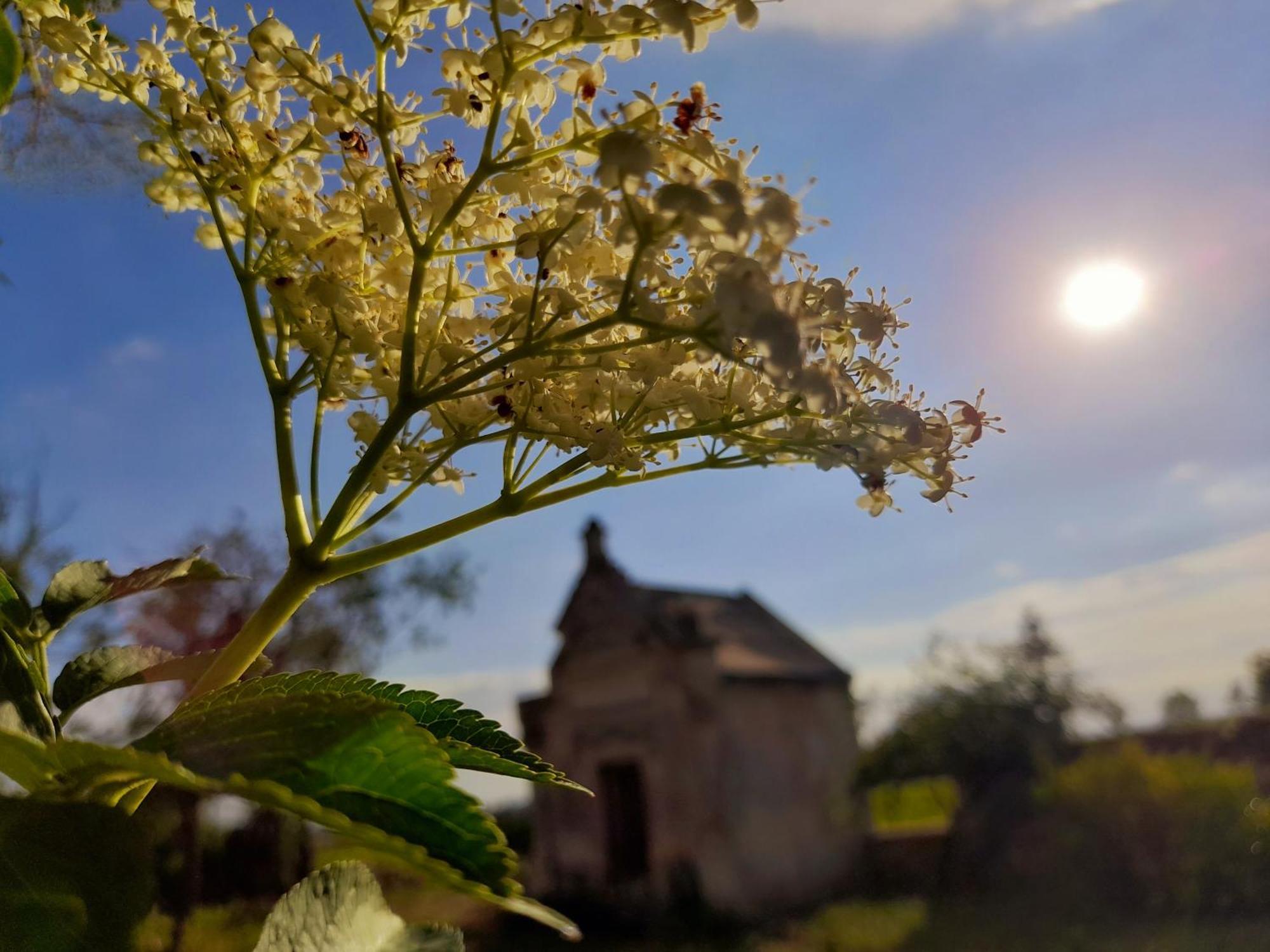 Bed and Breakfast La Galuche Angliers  Экстерьер фото